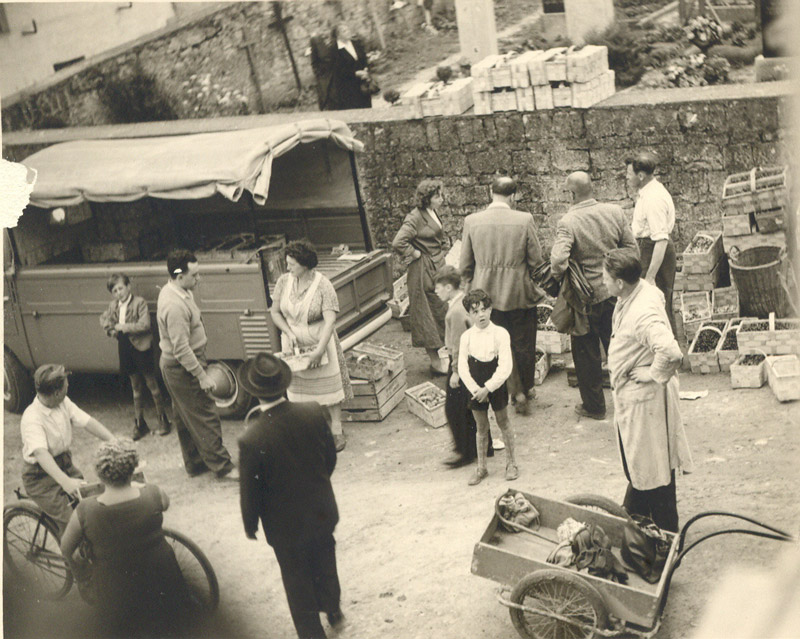 kaethe schraud beim obstkauf um 1954